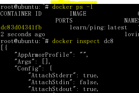 inspect